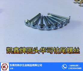 樹脂瓦專用螺絲 梅州螺絲 凱宇五金誠(chéng)信推薦
